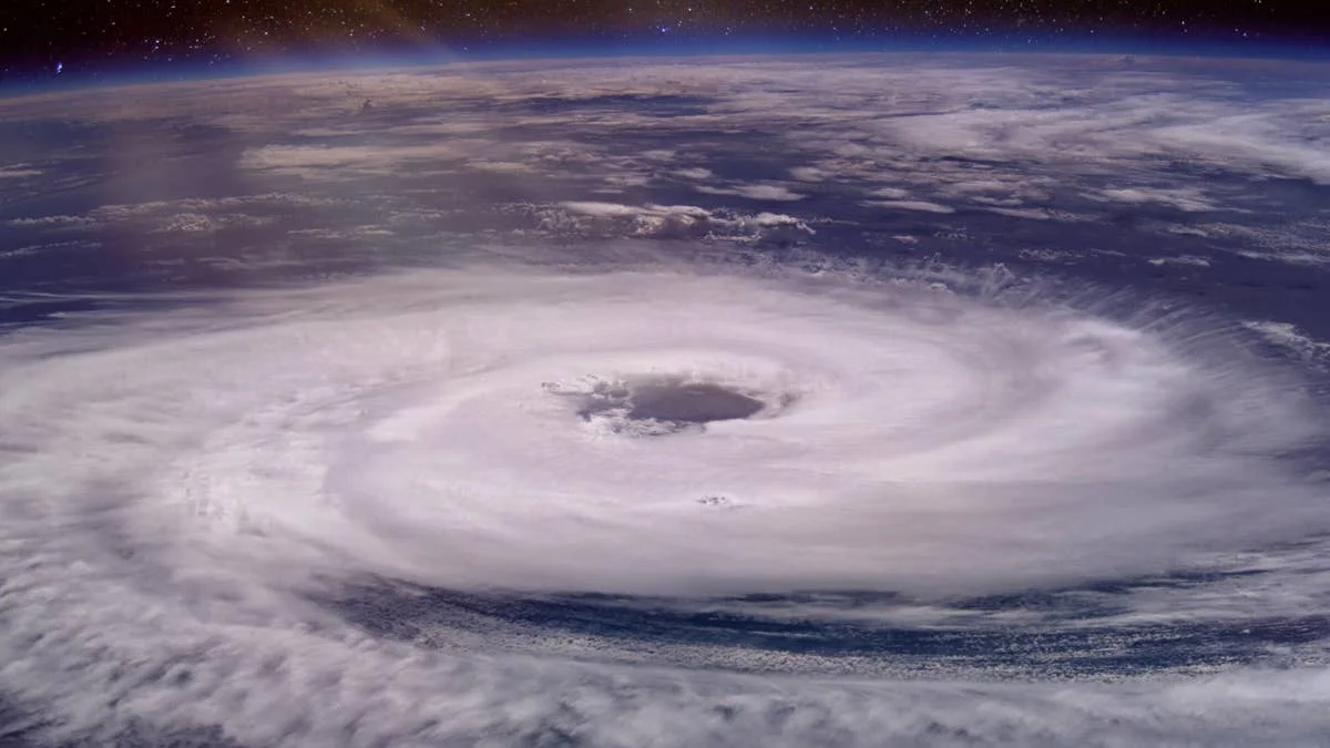Where Is the Best Place to Surf During El Niño?