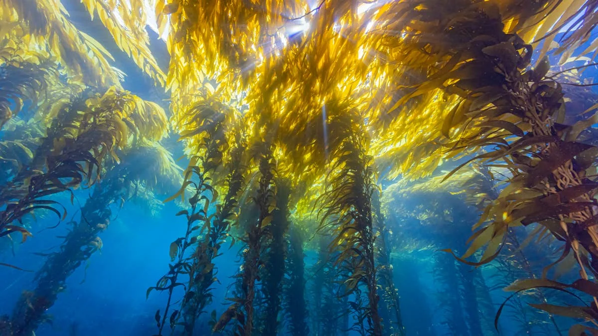 10 Surf Myths That Just Got Wrecked by Science